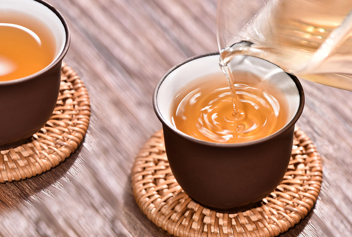 4 reasons! Tell you why you should drink white tea in winter TenFu's TEA