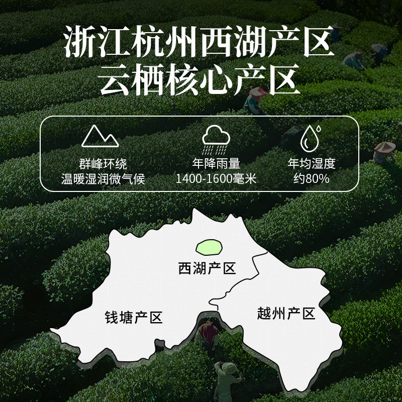 2025 Zhejiang West Lake Longjing—— Core Growing Regions