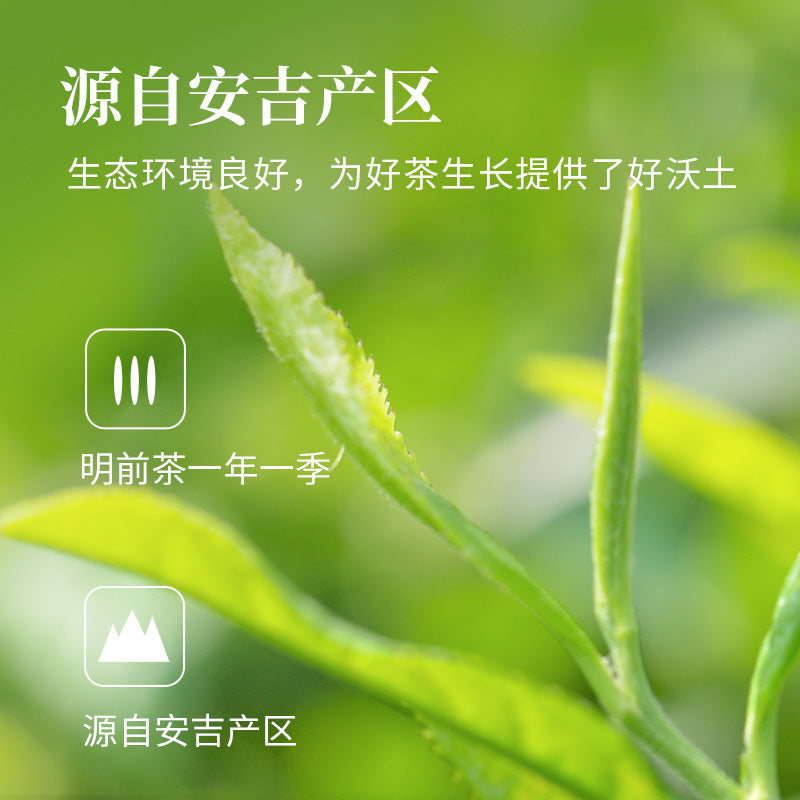 2026 Premium Anji Bai Cha (Green Tea) – Anji Origin (25g / 50g)