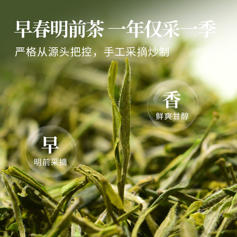 2026 Premium Huangshan Maofeng Green Tea-Yellow Mountain Origin  (25g / 50g)