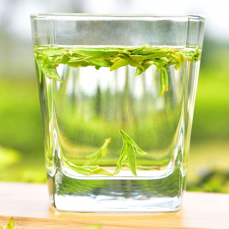 Spring First Flush Longjing Tea - Dragon Well Green Tea Best Chinese Loose Leaf Green Tea