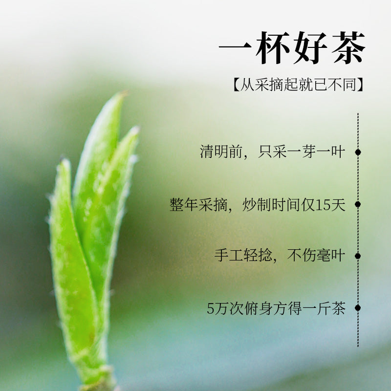 2025 Zhejiang West Lake Longjing—— Core Growing Regions