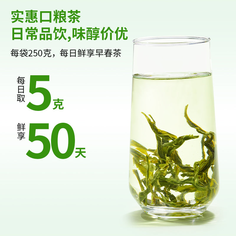 2026 Early Spring Mao Feng - 250G ——The smell of spring – TenFu's TEA