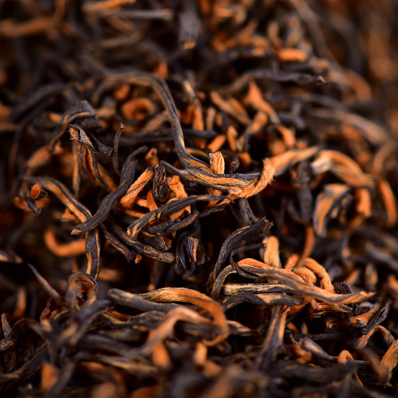 Tenfu Fulong Golden Junmei Black Tea  Gongfu Tea Gift Box 80g (16 brews)