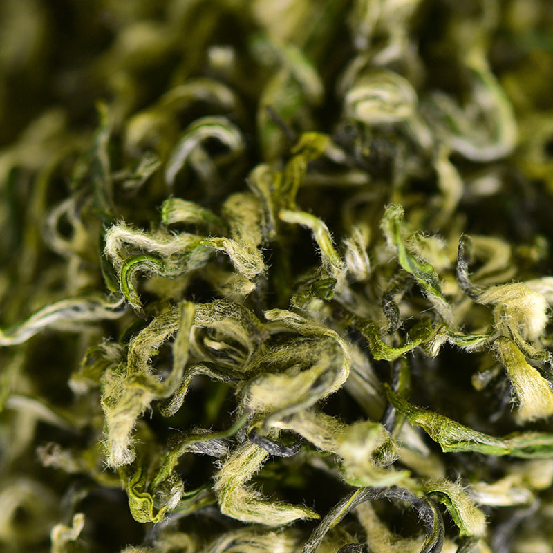 2026 Premium Taihu Biluochun Green Tea -Floral & Smooth (25g / 50g)