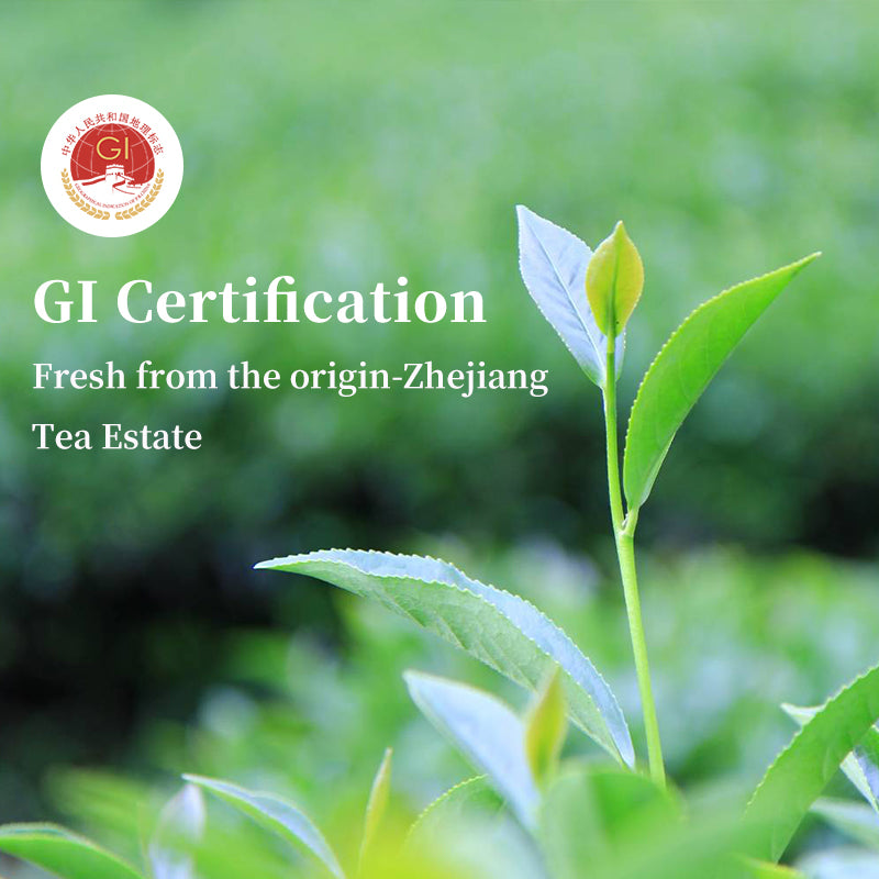 2024 First Flush Top-selling Dragon Well Long Jing