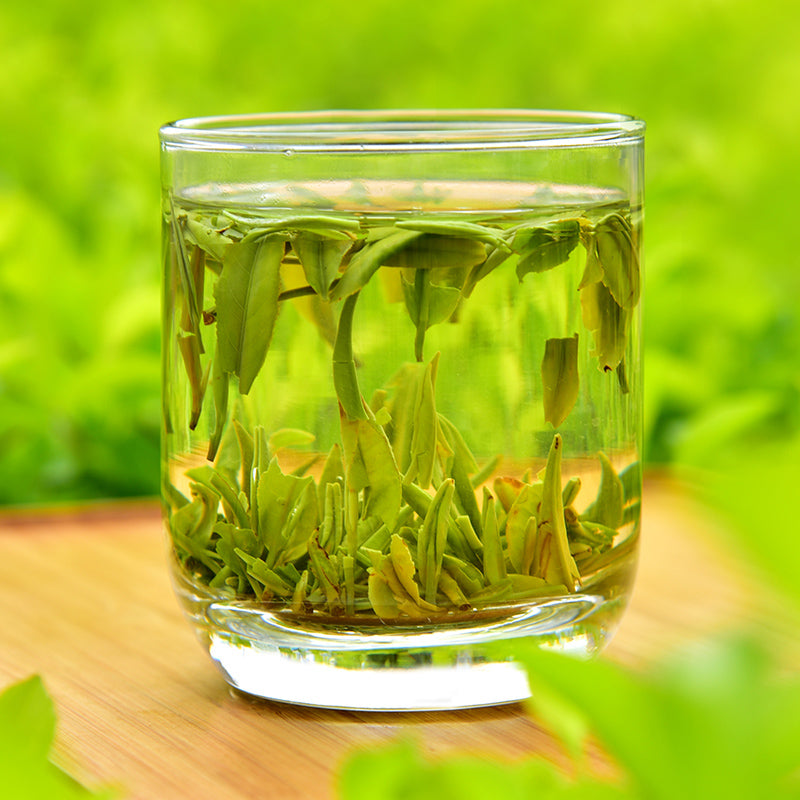Squeezmo Tea Squeeze Green Leaf